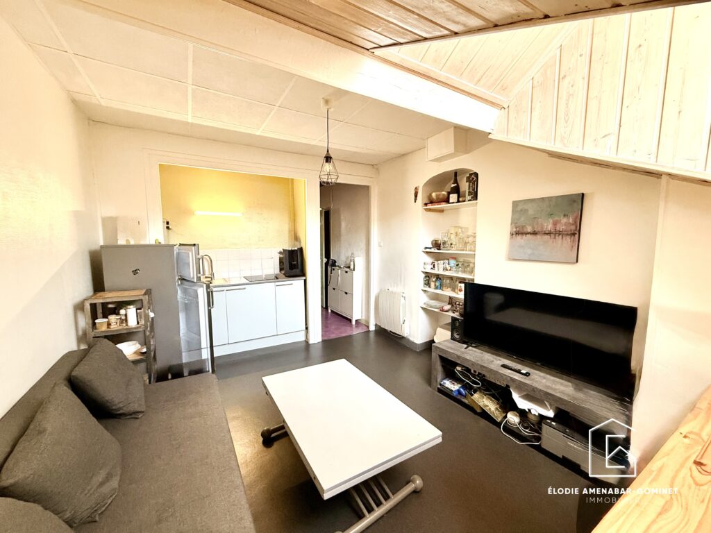 Appartement T2 - Grange Blanche/Montchat