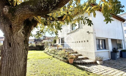 IMG_8017-2 IMG_8017-2